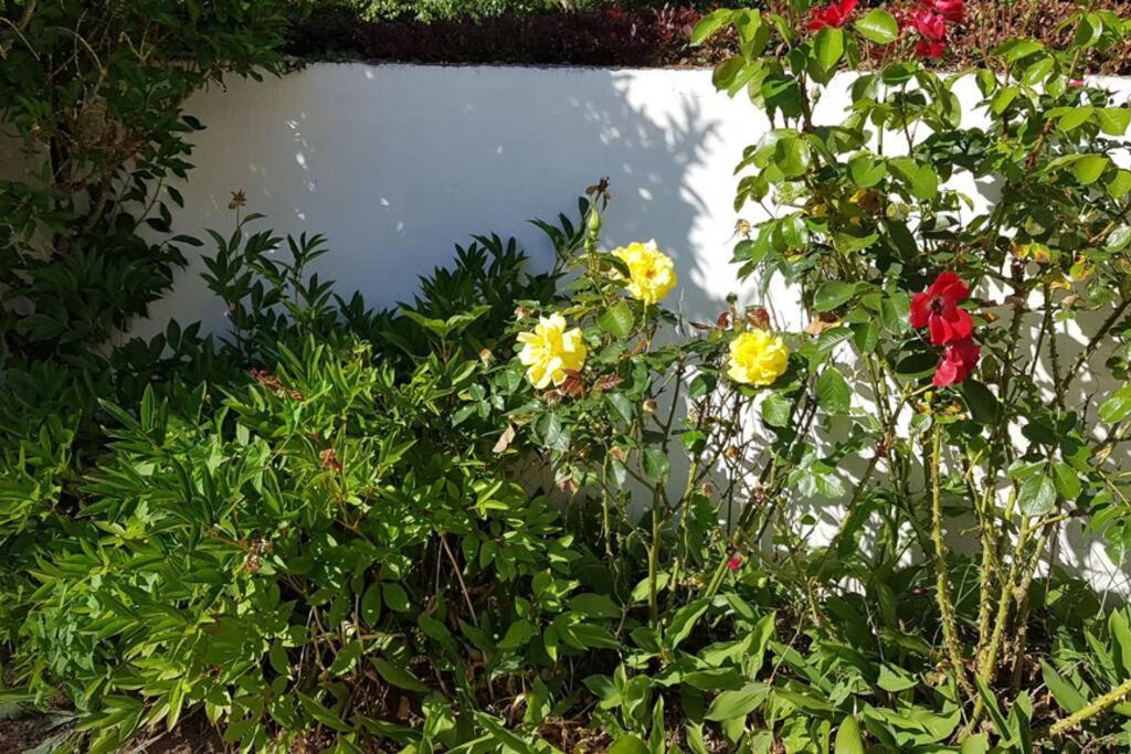 Le Clos De Chacha Villa Carly Bagian luar foto